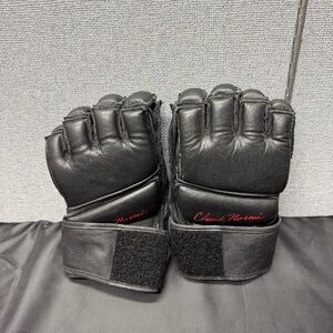 Vintage Chuck Norris Martial Arts MMA
Gloves